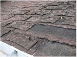 roofing 101